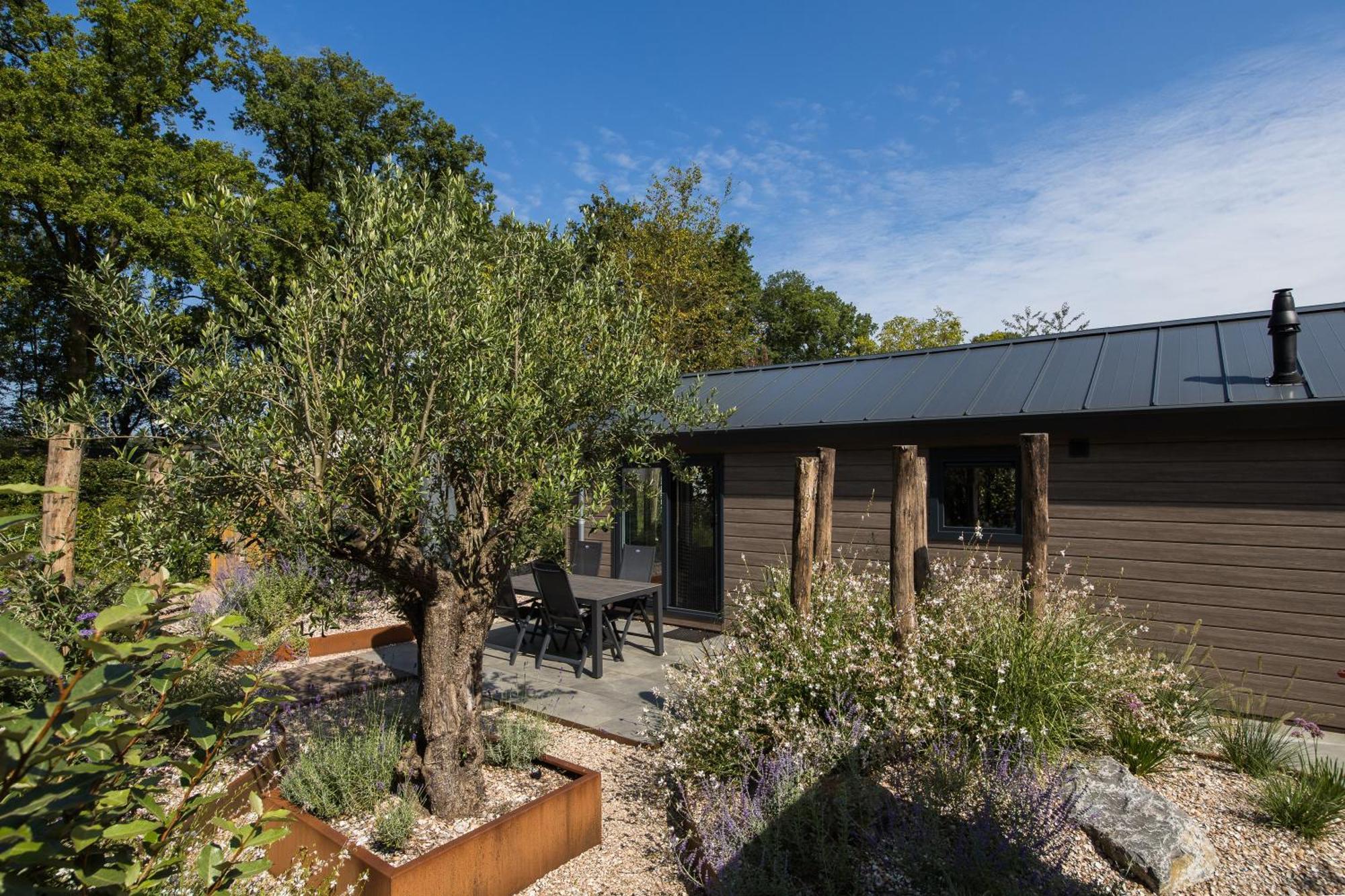אפ Modern Ingericht Chalet Op Groen Park Op De Veluwe מראה חיצוני תמונה