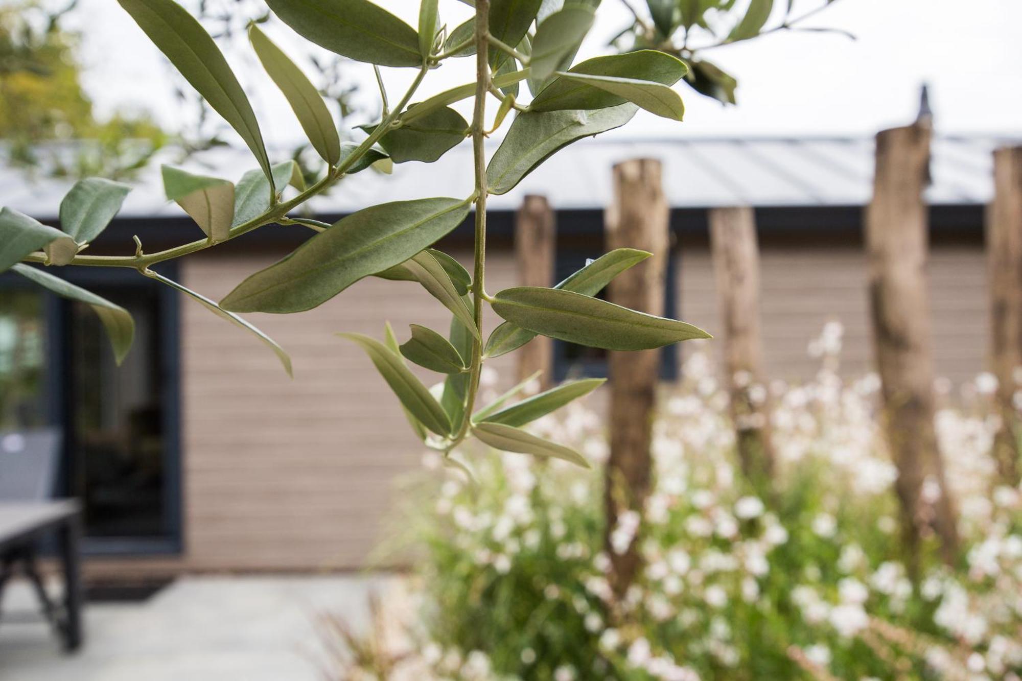 אפ Modern Ingericht Chalet Op Groen Park Op De Veluwe מראה חיצוני תמונה