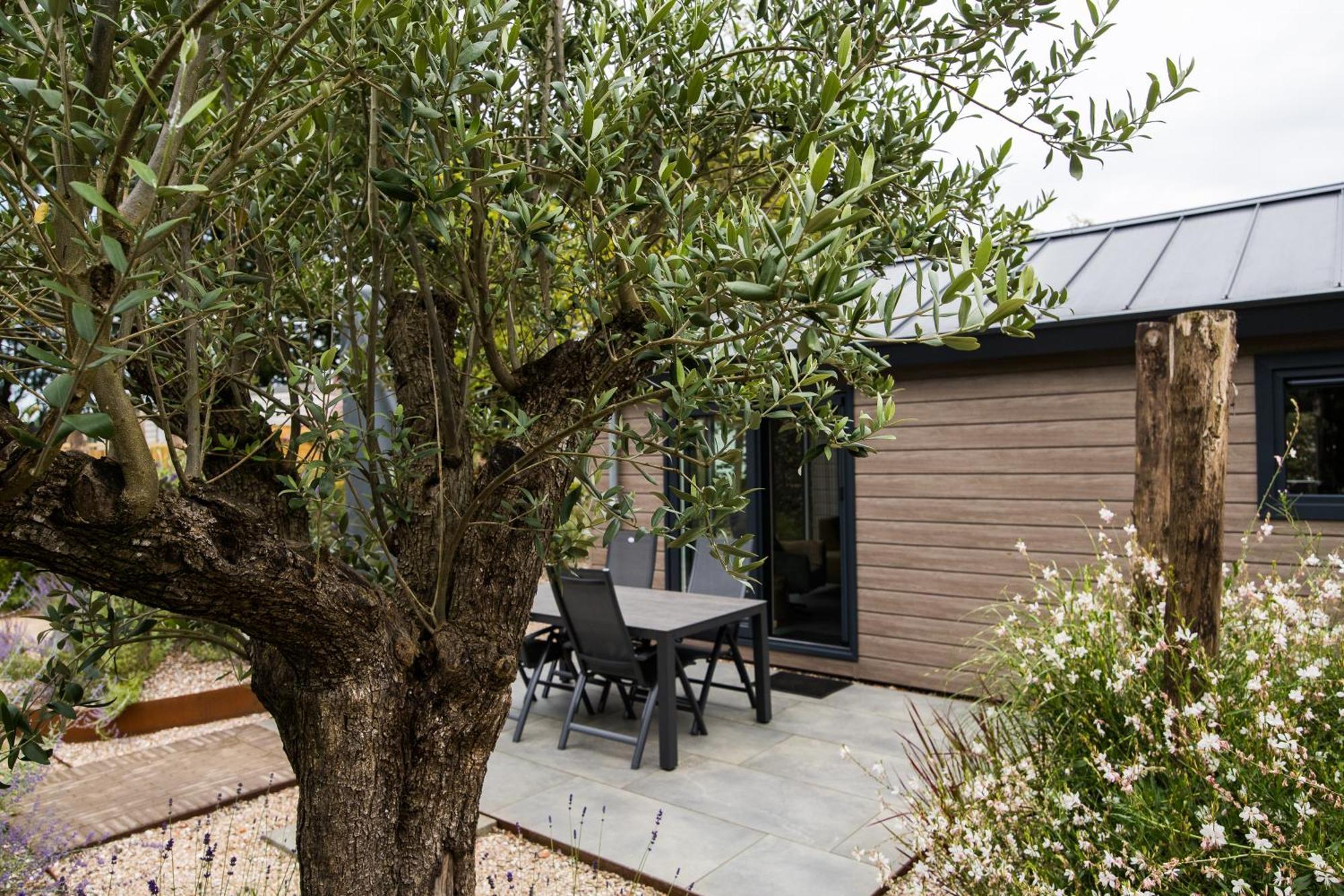 אפ Modern Ingericht Chalet Op Groen Park Op De Veluwe מראה חיצוני תמונה