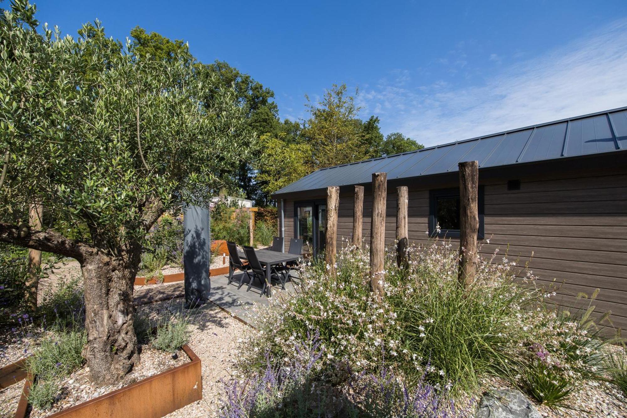 אפ Modern Ingericht Chalet Op Groen Park Op De Veluwe מראה חיצוני תמונה
