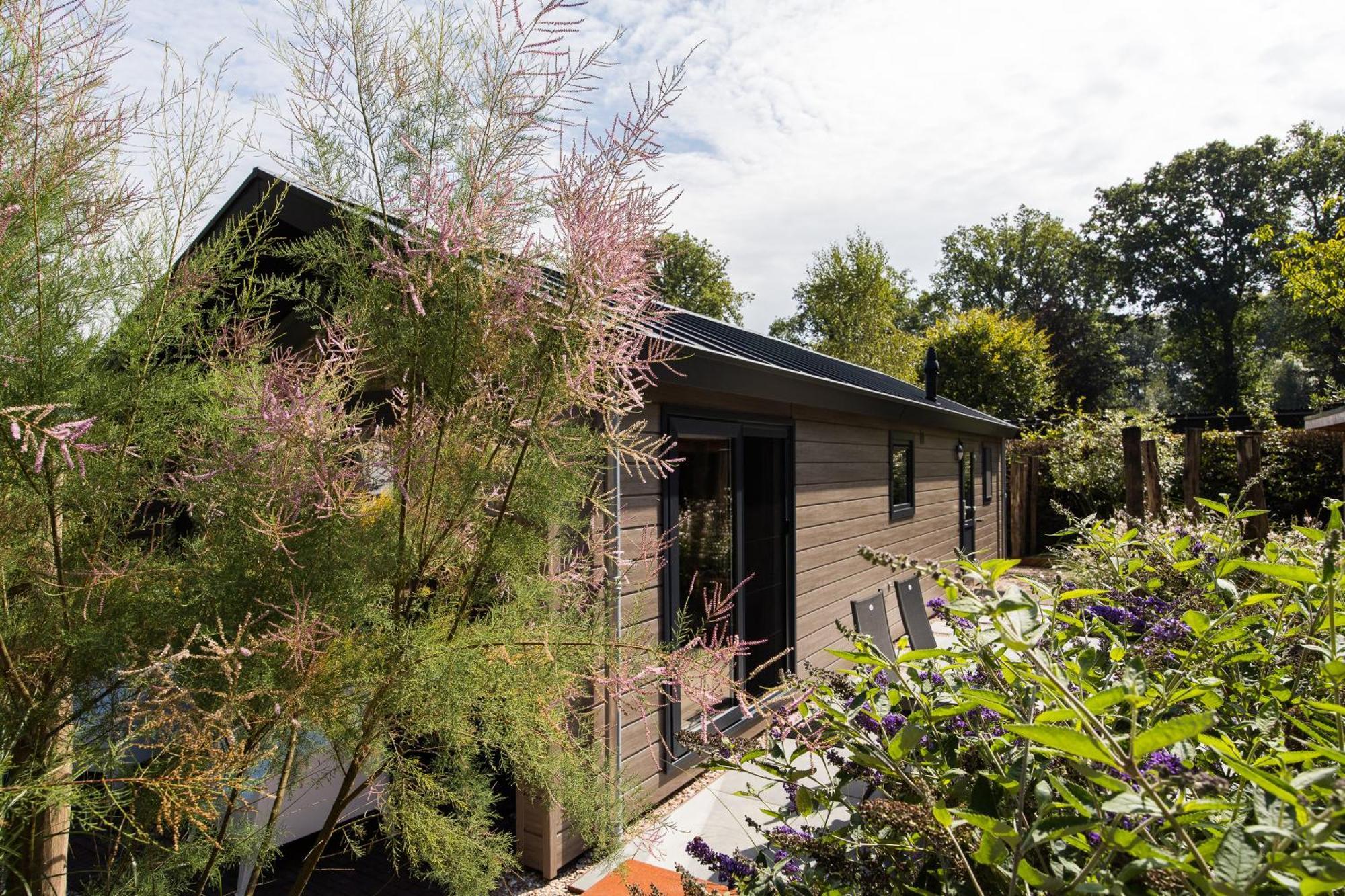 אפ Modern Ingericht Chalet Op Groen Park Op De Veluwe מראה חיצוני תמונה