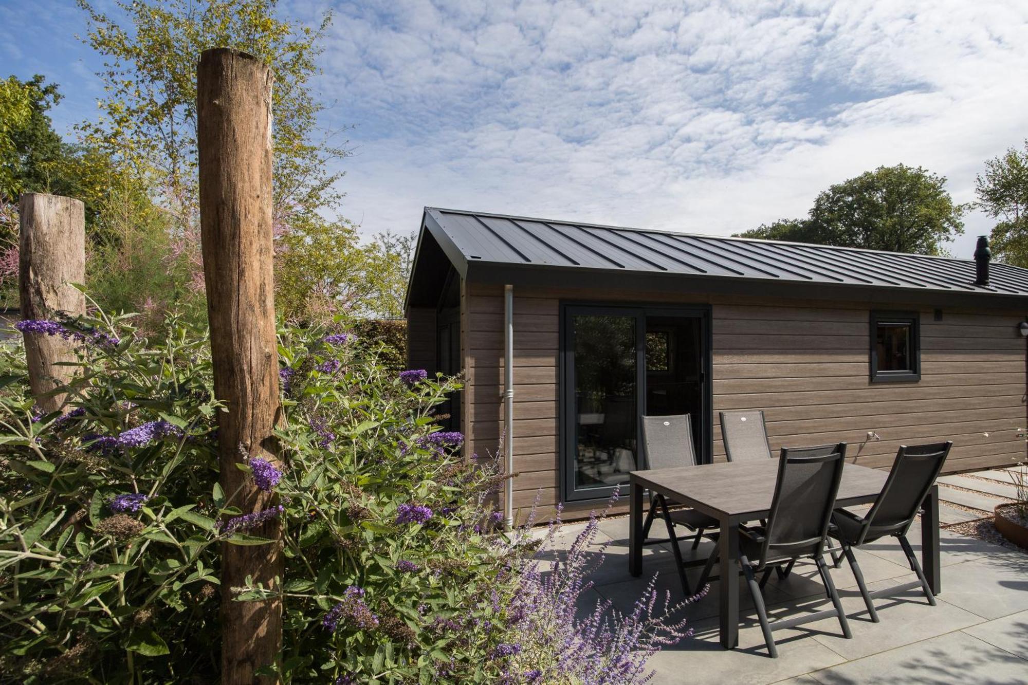 אפ Modern Ingericht Chalet Op Groen Park Op De Veluwe מראה חיצוני תמונה